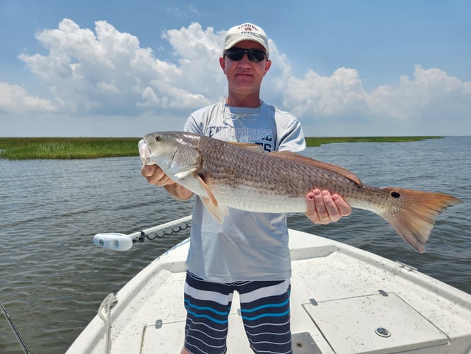 Exploring The Louisiana Marsh In New Orleans