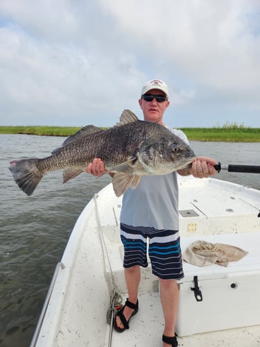 Exploring The Louisiana Marsh In New Orleans