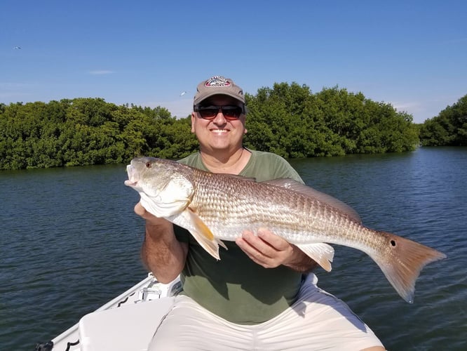 Clearwater Flats Sightfishing in Clearwater