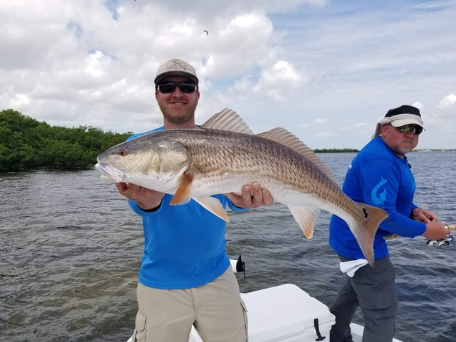 Clearwater Flats Sightfishing in Clearwater