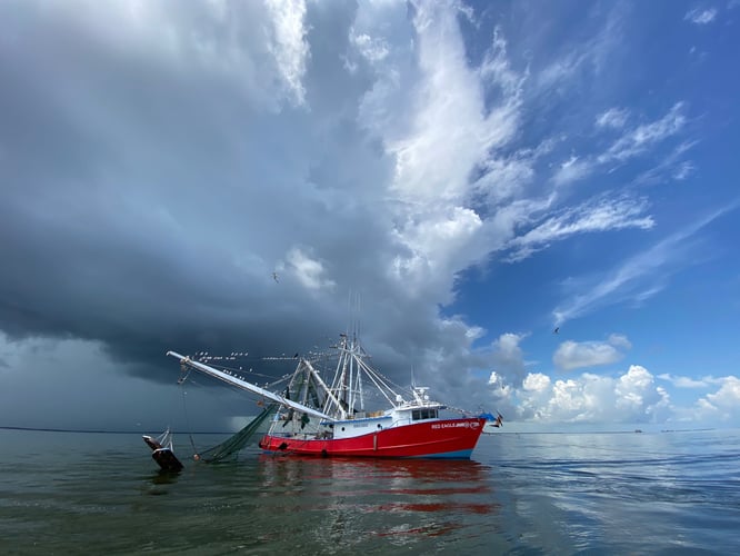 Fly Fishing Sportsman Paradise in Live Oak