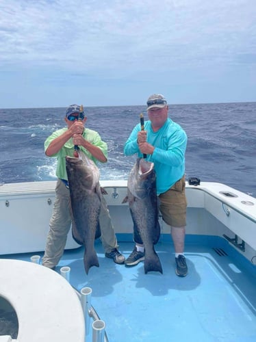 Epic Sportfishing - 53' G&S in Destin