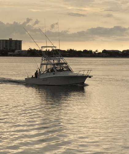 Trolling and & Bottomfishing Combo in Clearwater