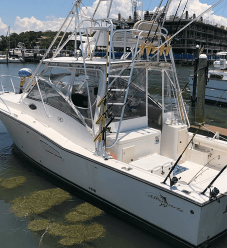 Trolling and & Bottomfishing Combo in Clearwater