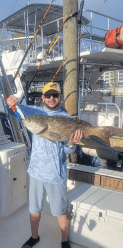 Trolling and & Bottomfishing Combo in Clearwater