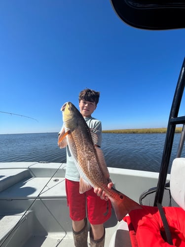 Full Day Fishing Trip In Saint Bernard