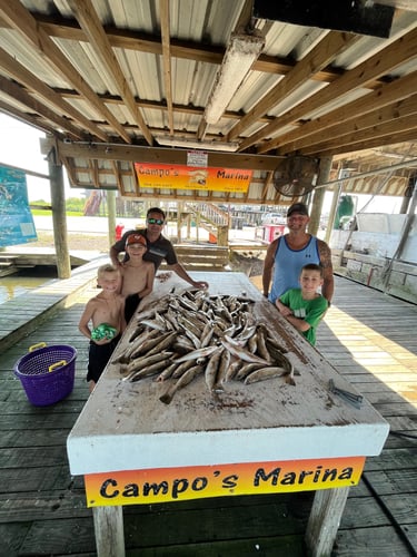 Half Day Fishing Trip In Saint Bernard