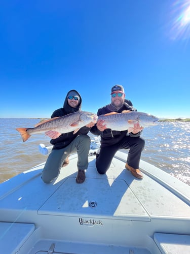 Half Day Fishing Trip In Saint Bernard