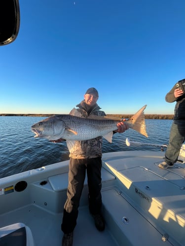 Half Day Fishing Trip In Saint Bernard