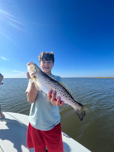 Half Day Fishing Trip In Saint Bernard