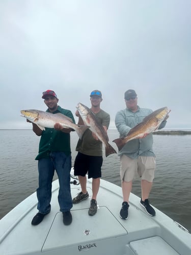 Full Day Fishing Trip In Saint Bernard