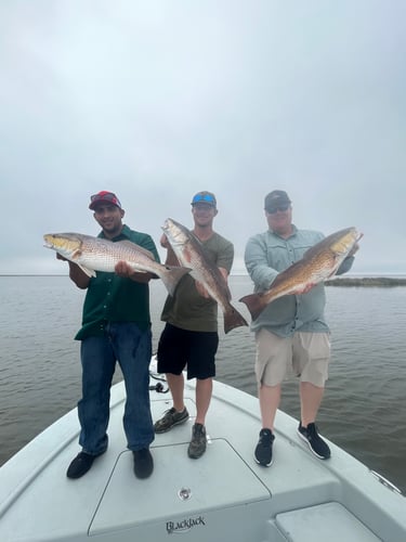 Half Day Fishing Trip In Saint Bernard