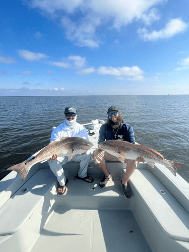 Full Day Fishing Trip In Saint Bernard