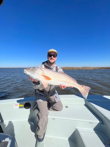 Half Day Fishing Trip In Saint Bernard