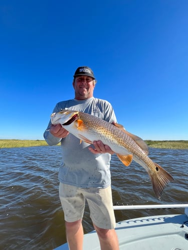 Half Day Fishing Trip In Saint Bernard