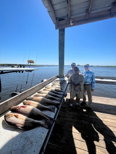 Half Day Fishing Trip In Saint Bernard