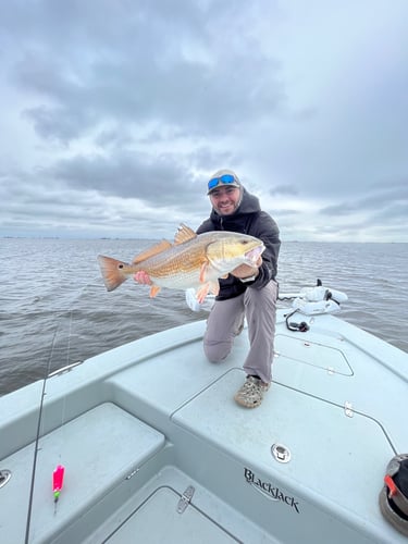 Full Day Fishing Trip In Saint Bernard