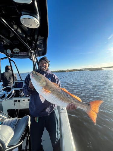 Half Day Fishing Trip In Saint Bernard