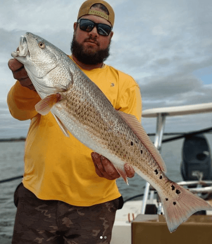 Flyfishing Homosassa In Homosassa