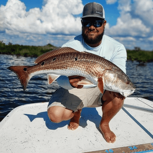 Flyfishing Homosassa In Homosassa