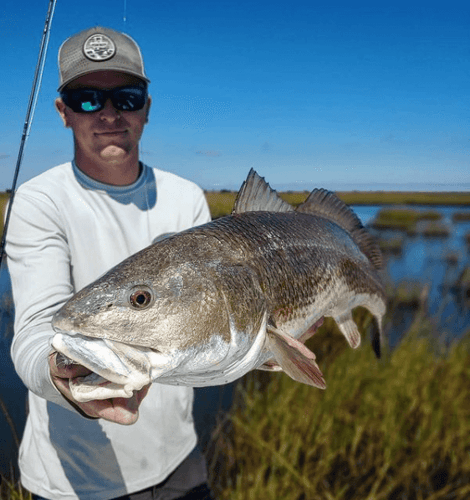 Flyfishing Homosassa In Homosassa