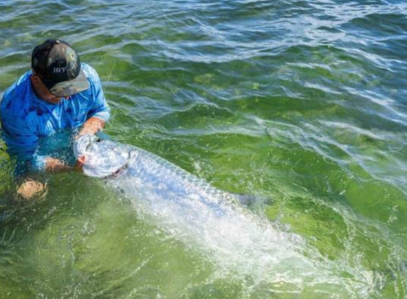 Tarpon Trip - 22' Pathfinder in Miami Beach