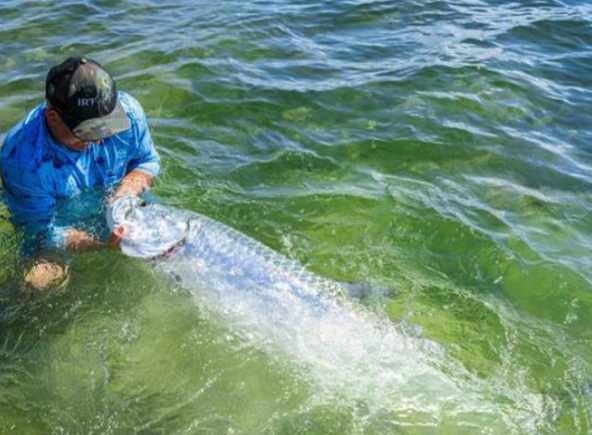 Tarpon Trip - 22' Pathfinder In Miami Beach