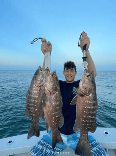 Miami Beach Fishing In Miami Beach