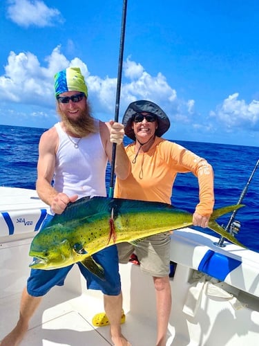 Deep Water Adventure In Islamorada