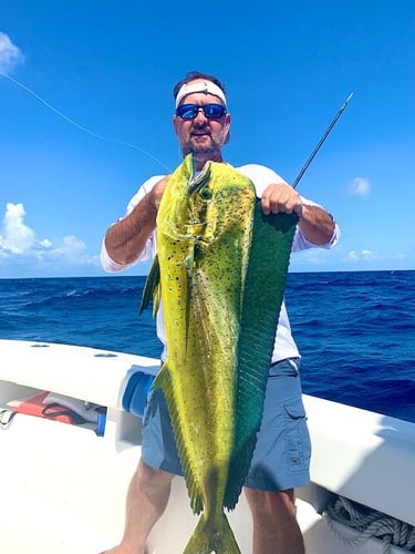 Deep Water Adventure In Islamorada