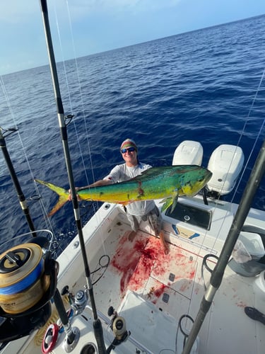 Deep Water Adventure In Islamorada