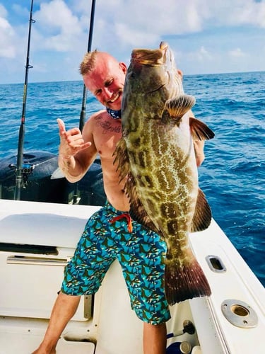 Open Ocean Big Game - 42' Sea Ray in Miami