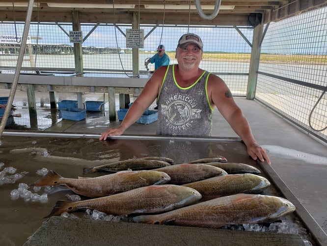 Matagorda Bay Trip In Matagorda