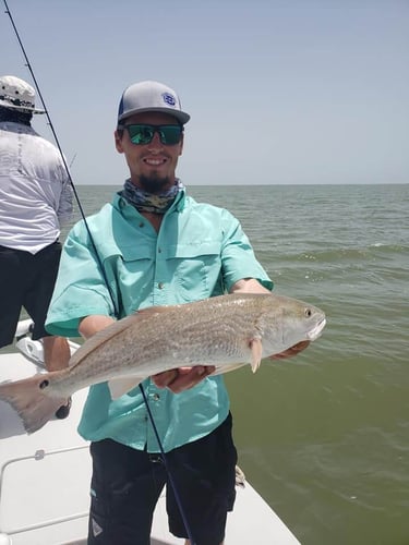 Matagorda Bay Trip In Matagorda