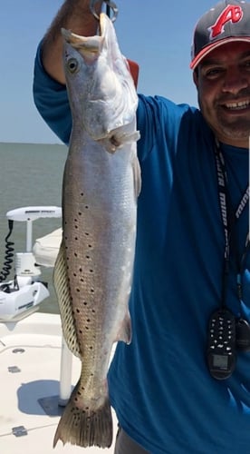 Matagorda Bay Trip In Matagorda