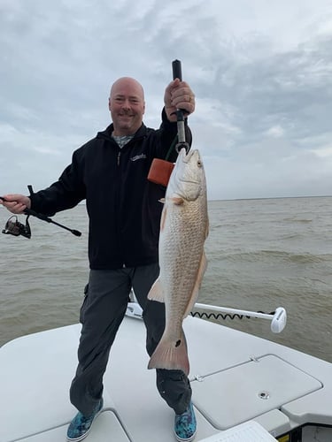 Matagorda Bay Trip In Matagorda