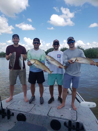 Matagorda Bay Trip In Matagorda