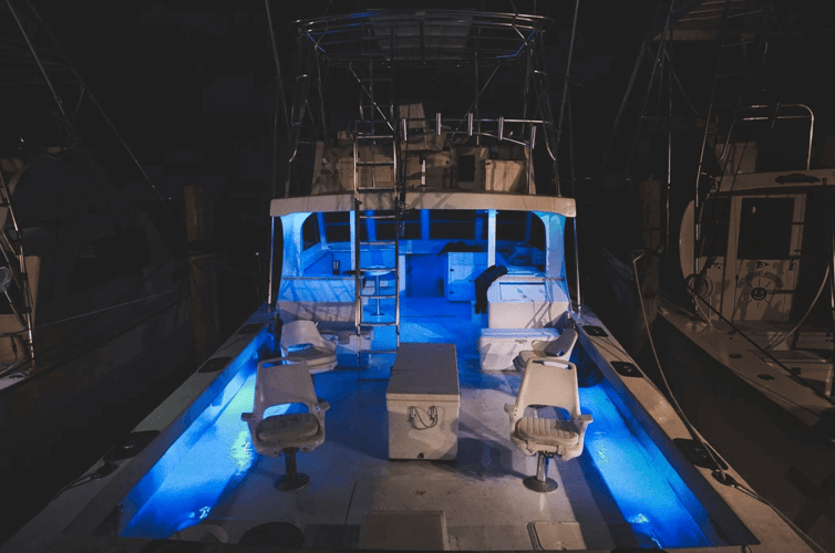Full Day Offshore - 40' Key West in Islamorada