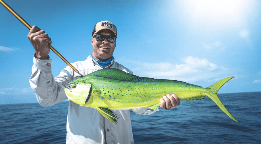 Full Day Offshore - 40' Key West in Islamorada