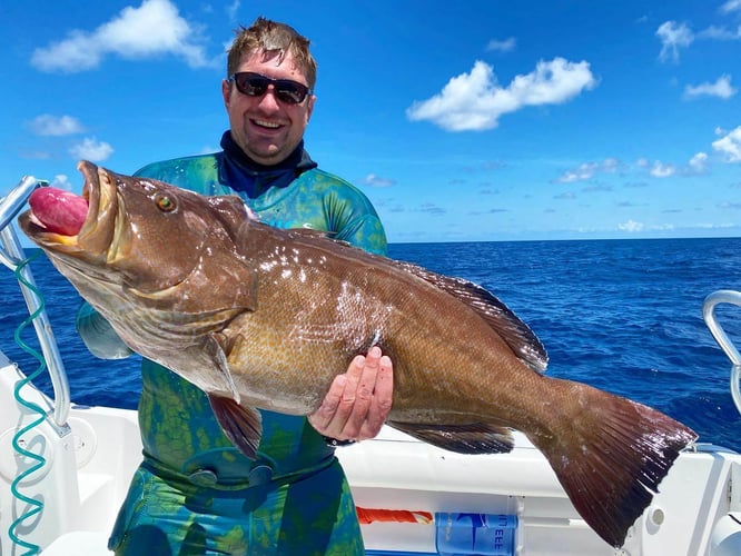 Reef and Wreck Freedive Spearfishing in Islamorada