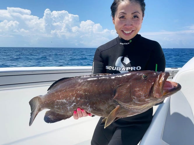 Reef and Wreck Freedive Spearfishing in Islamorada