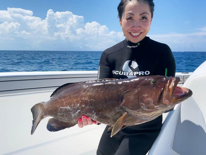 Spear The Depths: Reef & Wreck In Islamorada