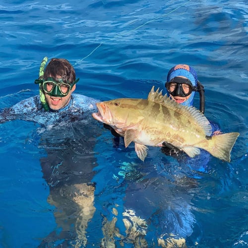 Spear The Depths: Reef & Wreck In Islamorada