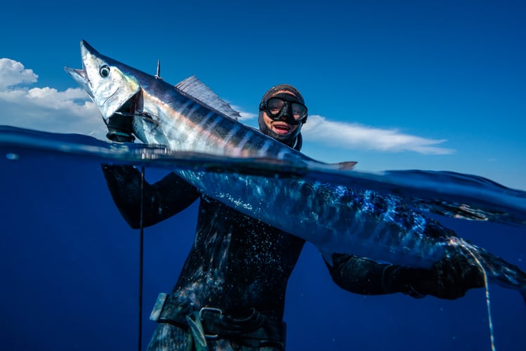 Blue Water Freedive Spearfishing in Islamorada