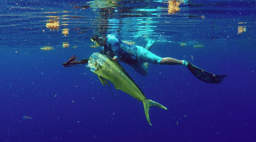 Blue Water Freedive Spearfishing in Islamorada