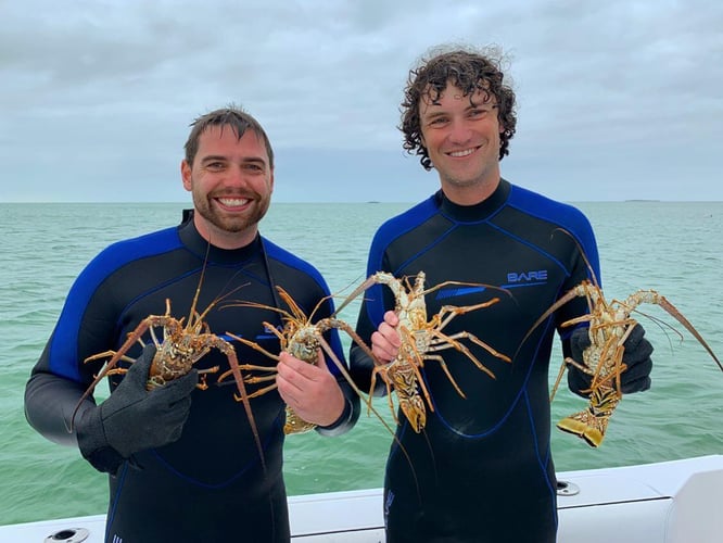 Lobster Hunting - Scuba or Freedive