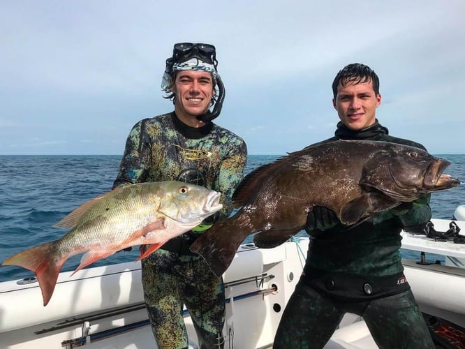 Reef and Wreck Freedive Spearfishing in Islamorada