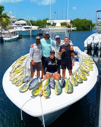 Reef Frenzy In Islamorada