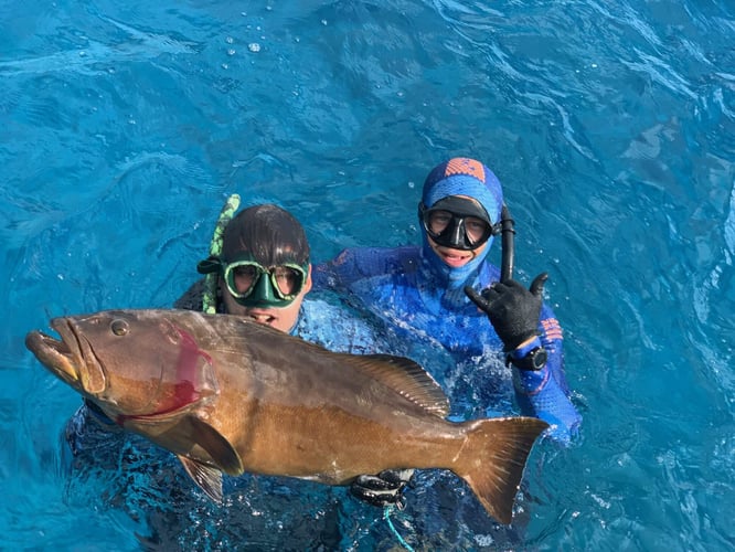 Deep Dive Bounty: Reef & Wreck In Islamorada