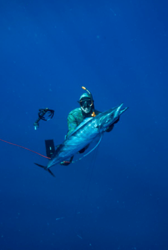 Blue Water Freedive Spearfishing in Islamorada